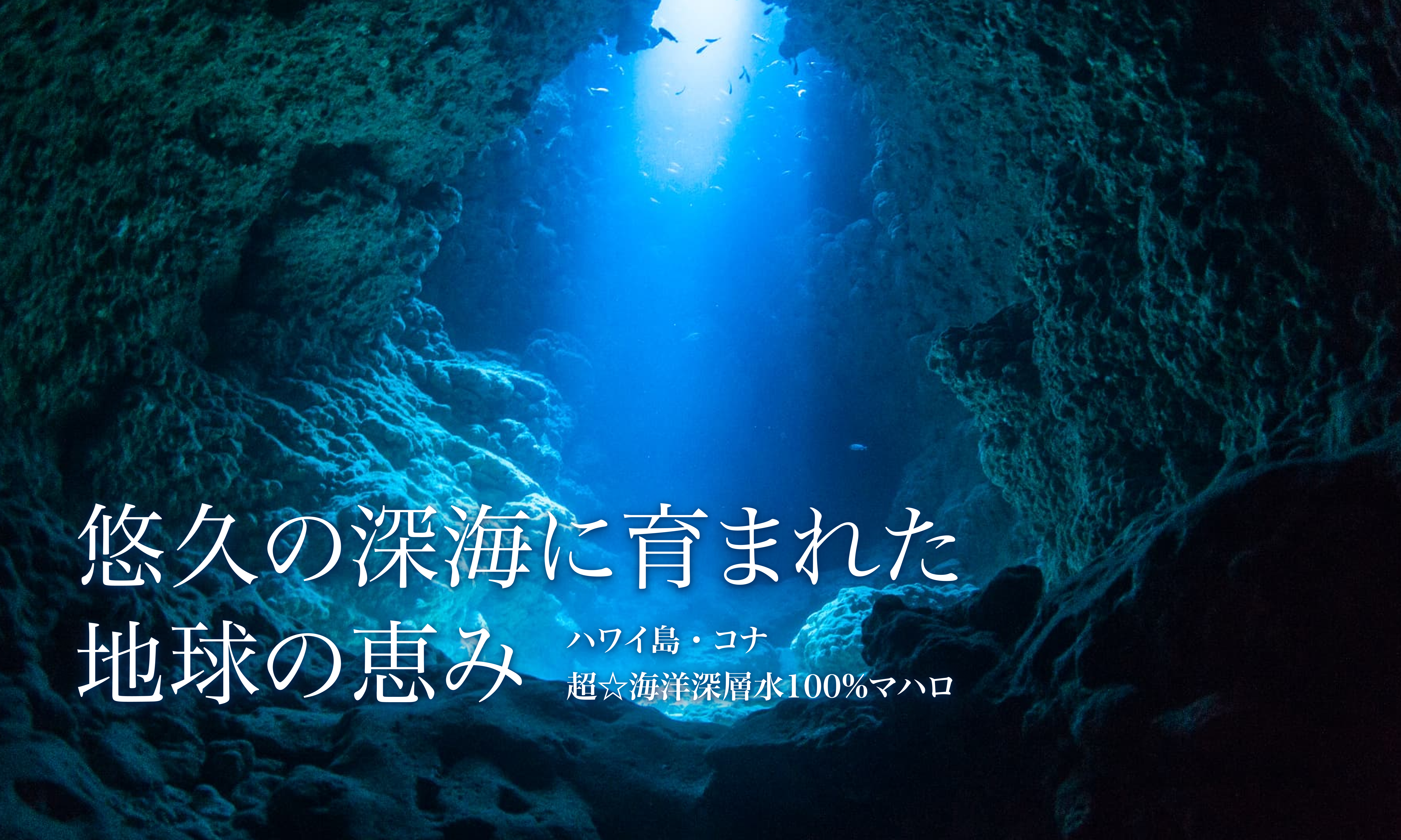 お得な定期購入あり】テレビでも紹介された超☆海洋深層水 100% マハロ